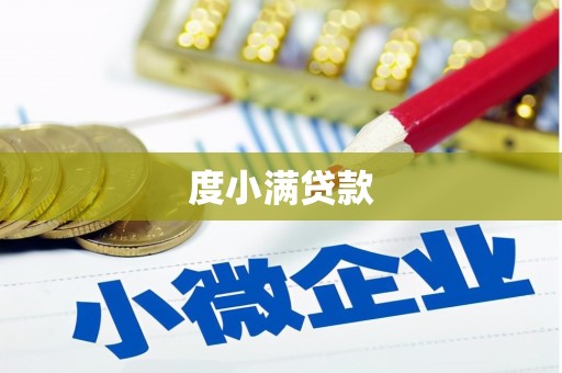 乐安度小满贷款