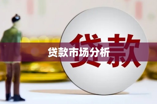 乐安贷款市场分析