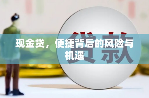 乐安现金贷，便捷背后的风险与机遇