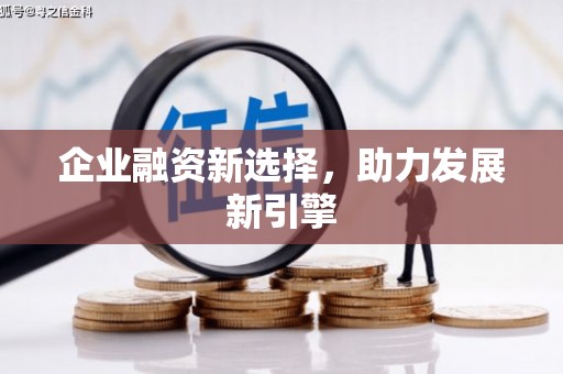 乐安企业融资新选择，助力发展新引擎