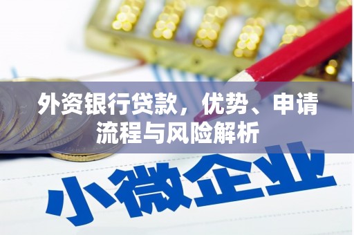 乐安外资银行贷款，优势、申请流程与风险解析