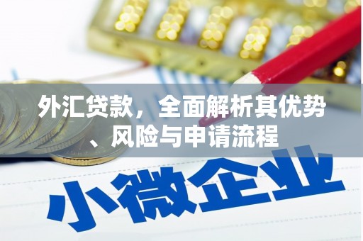 乐安外汇贷款，全面解析其优势、风险与申请流程