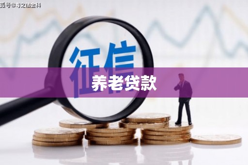 乐安养老贷款