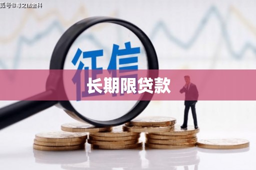 乐安长期限贷款
