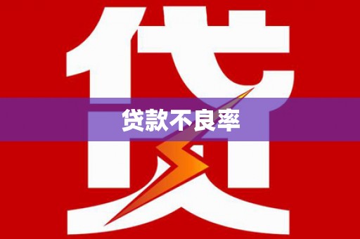 乐安贷款不良率