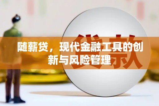 乐安随薪贷，现代金融工具的创新与风险管理