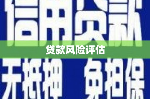 乐安贷款风险评估