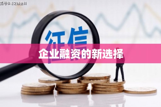 乐安企业融资的新选择