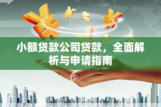 乐安小额贷款公司贷款，全面解析与申请指南