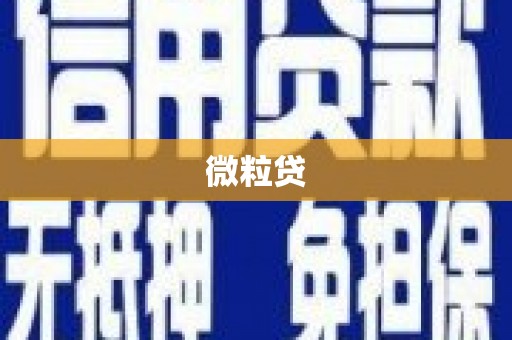 乐安微粒贷