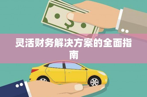 乐安灵活财务解决方案的全面指南
