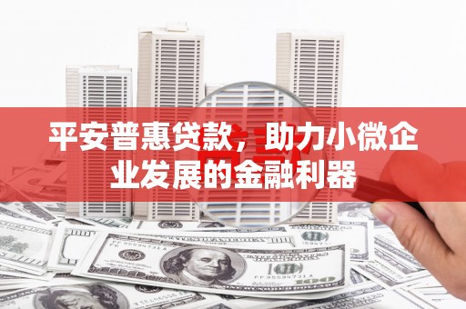 乐安平安普惠贷款，助力小微企业发展的金融利器