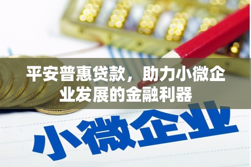 乐安平安普惠贷款，助力小微企业发展的金融利器