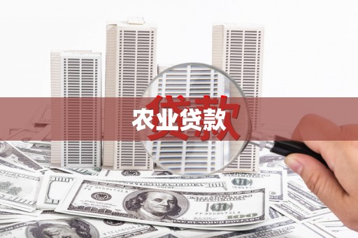乐安农业贷款