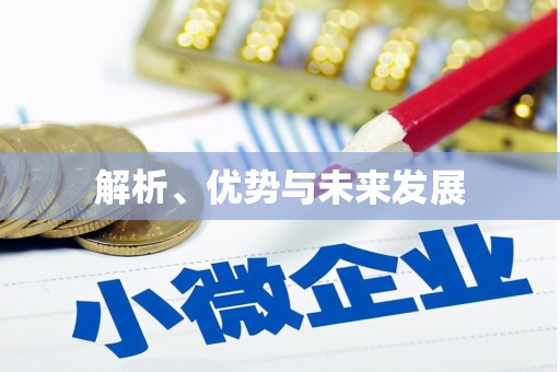 乐安解析、优势与未来发展
