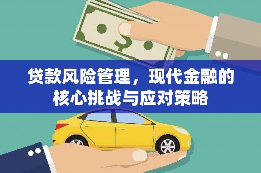 乐安贷款风险管理，现代金融的核心挑战与应对策略