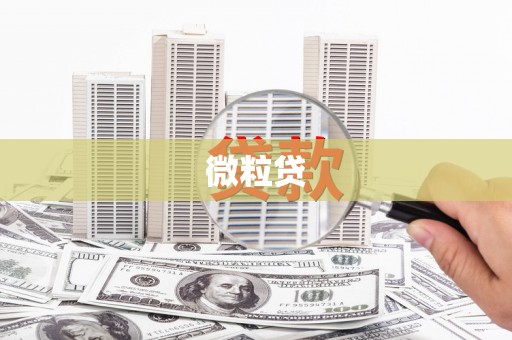 乐安微粒贷