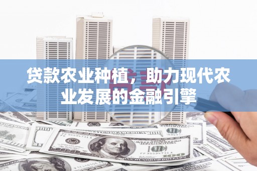 乐安贷款农业种植，助力现代农业发展的金融引擎