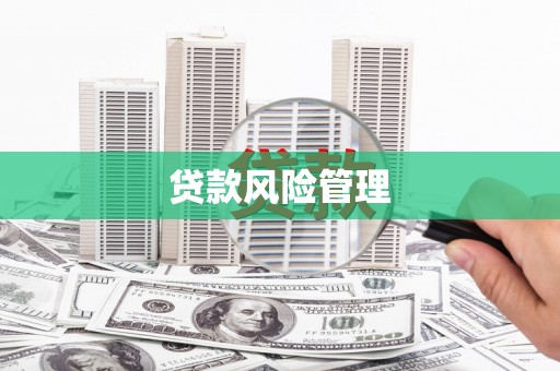 乐安贷款风险管理