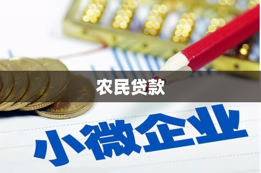 乐安农民贷款