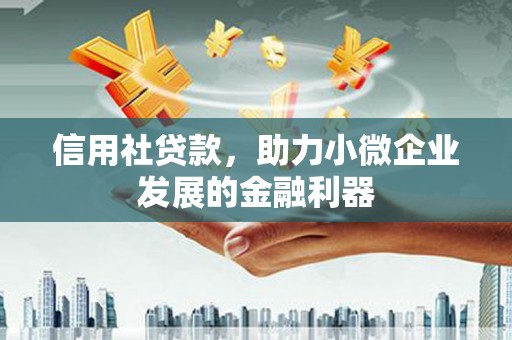 乐安信用社贷款，助力小微企业发展的金融利器