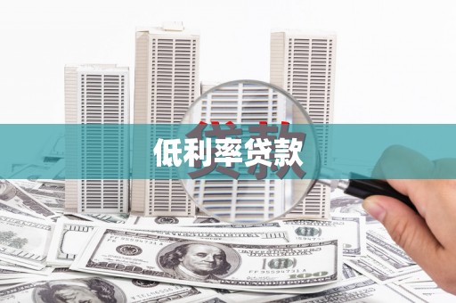 乐安低利率贷款