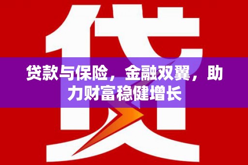乐安贷款与保险，金融双翼，助力财富稳健增长