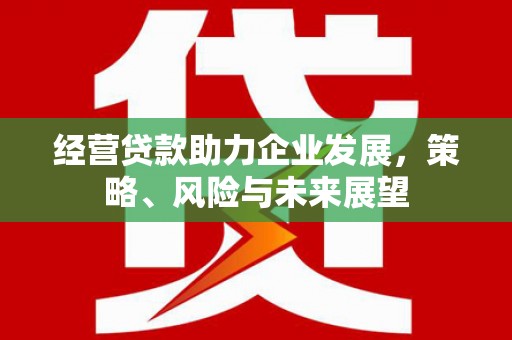 乐安经营贷款助力企业发展，策略、风险与未来展望