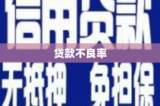 乐安贷款不良率