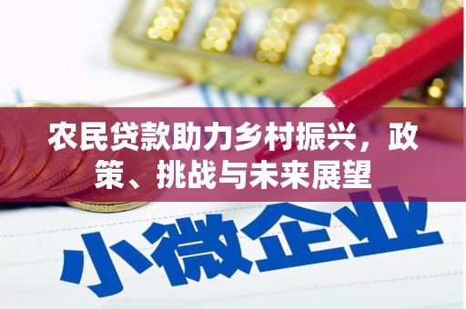 乐安农民贷款助力乡村振兴，政策、挑战与未来展望