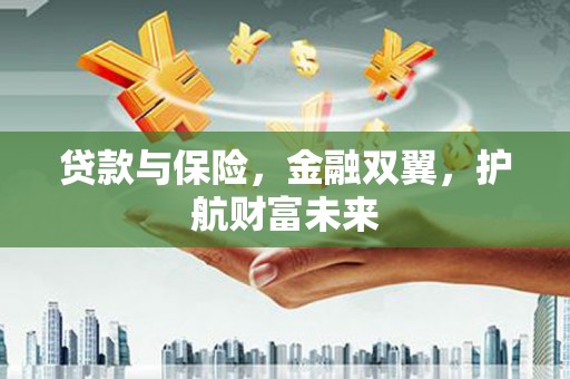 乐安贷款与保险，金融双翼，护航财富未来