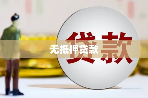 乐安无抵押贷款