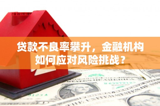 乐安贷款不良率攀升，金融机构如何应对风险挑战？