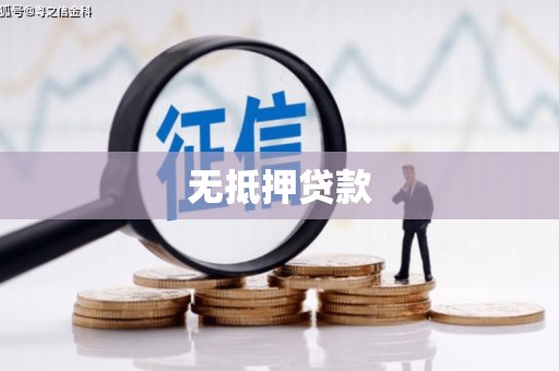 乐安无抵押贷款