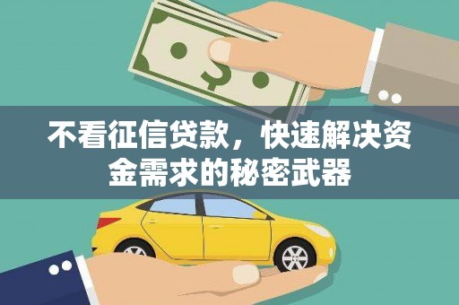 乐安不看征信贷款，快速解决资金需求的秘密武器