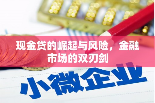 乐安现金贷的崛起与风险，金融市场的双刃剑