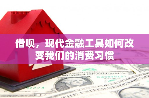 乐安借呗，现代金融工具如何改变我们的消费习惯