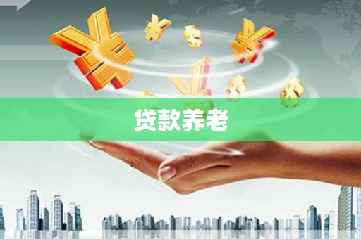 乐安贷款养老