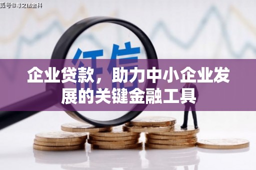 乐安企业贷款，助力中小企业发展的关键金融工具