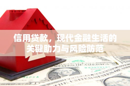 乐安信用贷款，现代金融生活的关键助力与风险防范