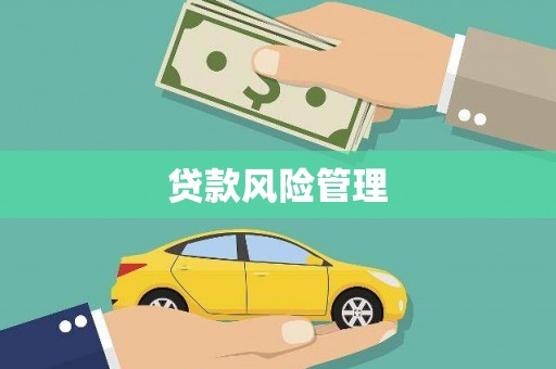 乐安贷款风险管理