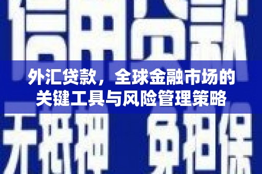 乐安外汇贷款，全球金融市场的关键工具与风险管理策略