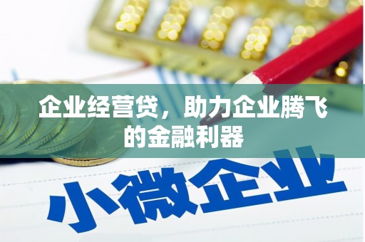 乐安企业经营贷，助力企业腾飞的金融利器