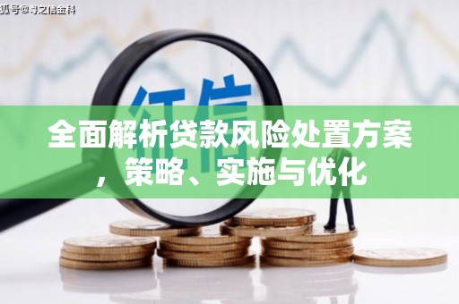 乐安全面解析贷款风险处置方案，策略、实施与优化