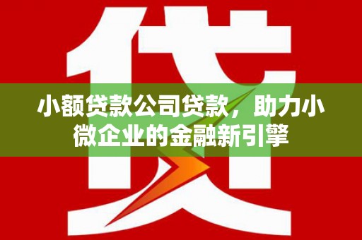 乐安小额贷款公司贷款，助力小微企业的金融新引擎