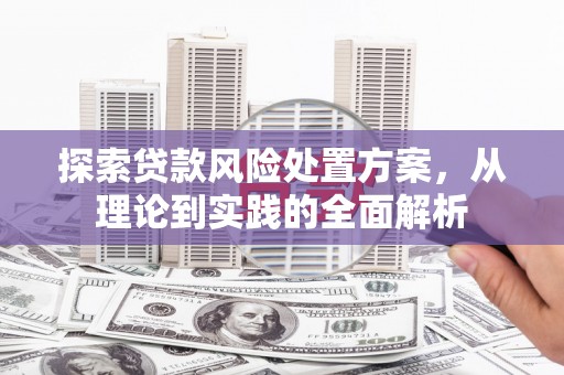 乐安探索贷款风险处置方案，从理论到实践的全面解析