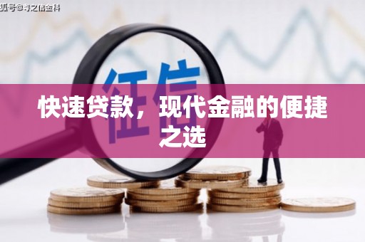 乐安快速贷款，现代金融的便捷之选
