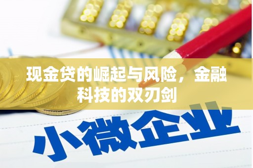 乐安现金贷的崛起与风险，金融科技的双刃剑