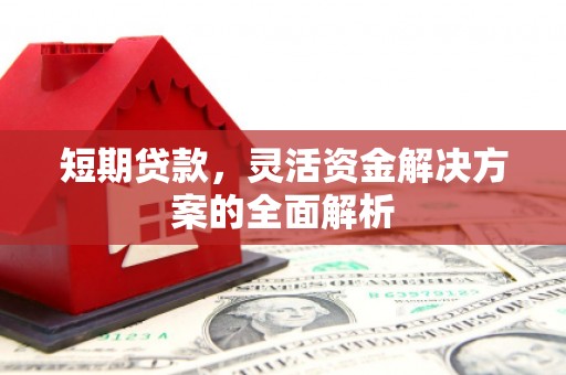 乐安短期贷款，灵活资金解决方案的全面解析