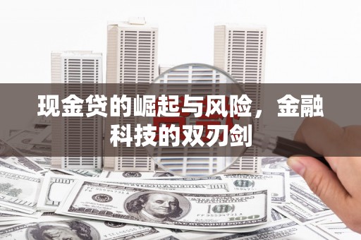 乐安现金贷的崛起与风险，金融科技的双刃剑